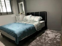 Blk 219 Tampines Street 24 (Tampines), HDB 3 Rooms #459649131